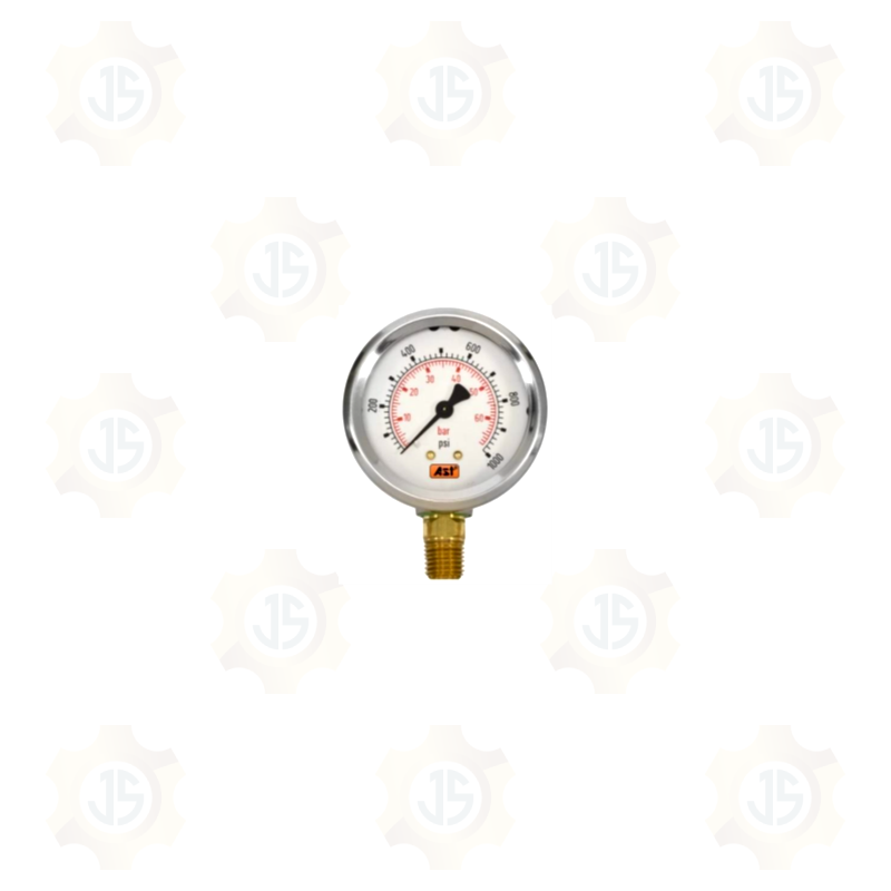 MANOMETRO RADIAL INOX SECO