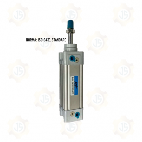 PISTON NEUMATICO DNC